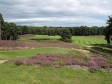 the spectacular par 3, 6th at West Sussex