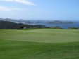 15th green