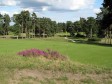 Worplesdon -par 3, 4th hole from behind the green