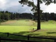 Swinley Forest -1st and 18th holes just before more heavy rain