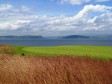 18th green Castle Stuart