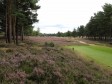 Hankley Common- par 5, 13th and a sea of heather