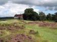 Reigate Heath's 9th hole with the clubhouse and windmill behind