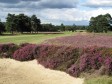 Walton Heath New Course-the 468 yard par 4, 5th hole